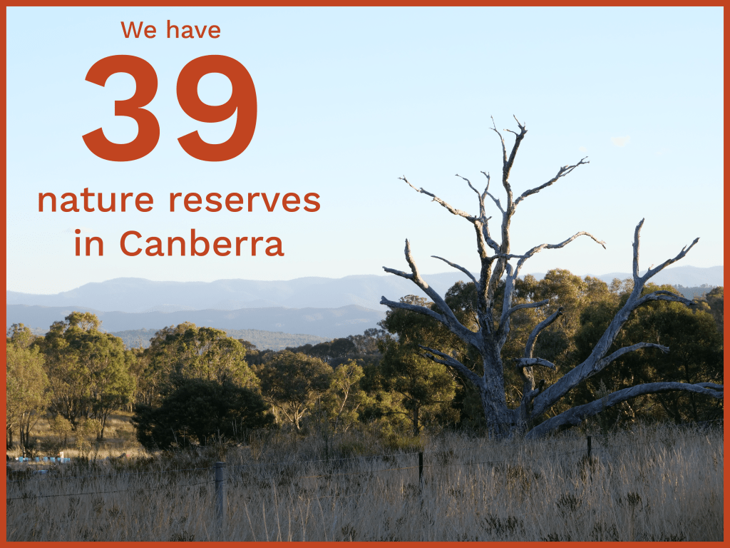 An image of a scenic view in a nature reserve, with the text "We have 39 nature reserves in Canberra" overlaid in red.