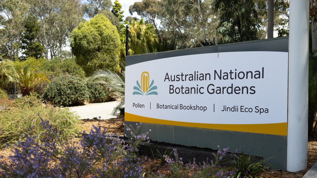 Why The Botanic Gardens are Canberra’s Best&nbsp;Attraction